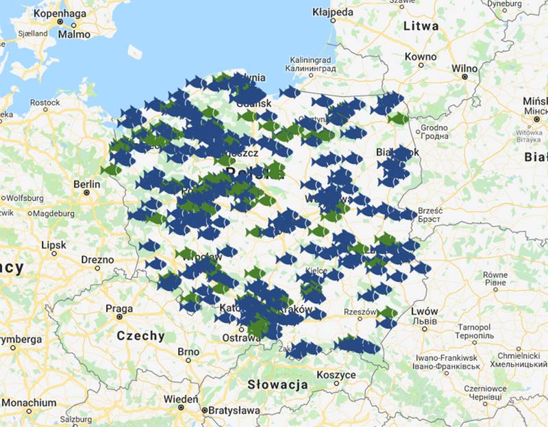 Angeln in Polen - Polen Journal