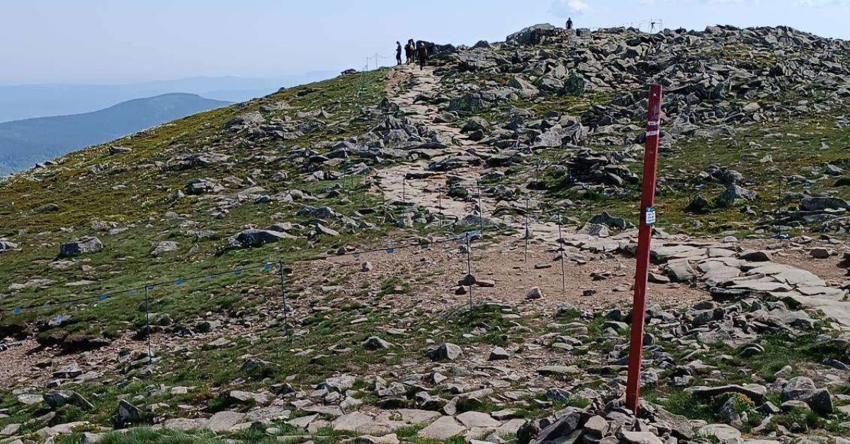 Wanderweg auf den Weiberberg, rot markeirter Wanderweg