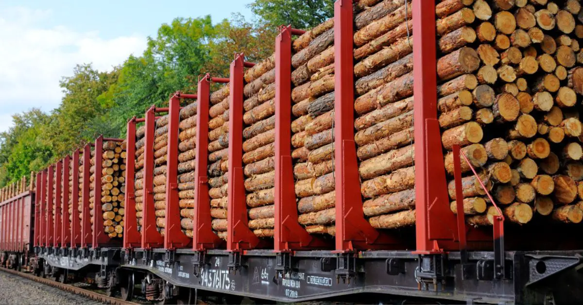 Holz aus Polen, Holzexport Polen, einschraenkungen Holzexport