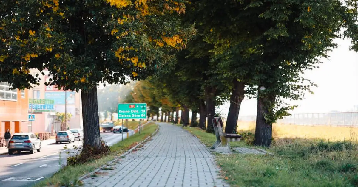 polen, słubice, transitverkehr einschrankungen, hochwasser