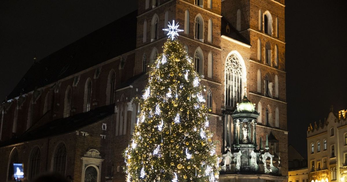 Weihnachtsbaum, kraków, kraku, Der schönste Weihnachtsbaum der Welt, polen, krakauer hauptmarkt