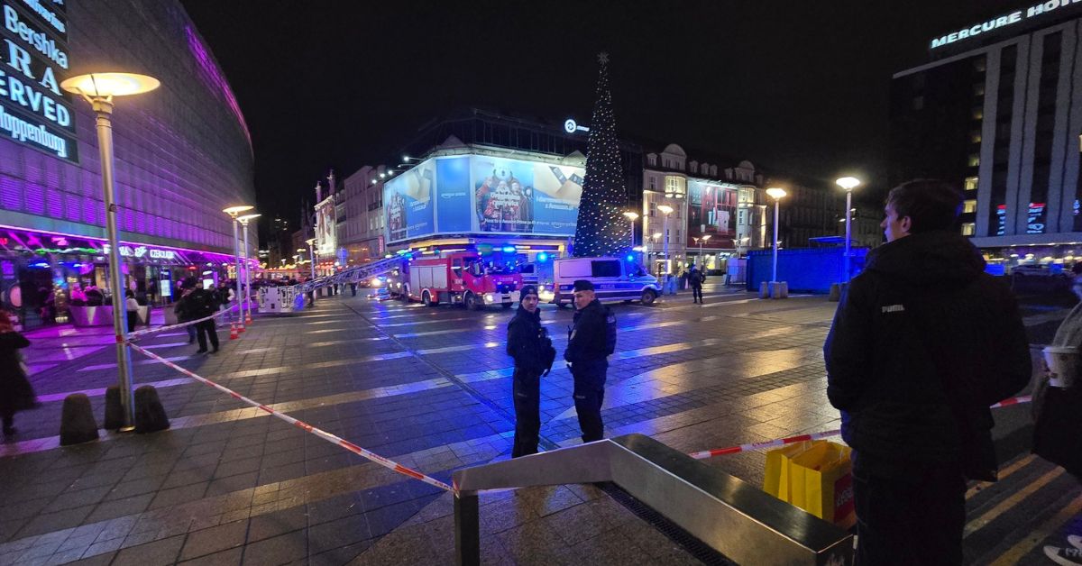 polen, mann, mann auf einem weihnachtsbaum, mann auf einem baum, katowice, kattowitz