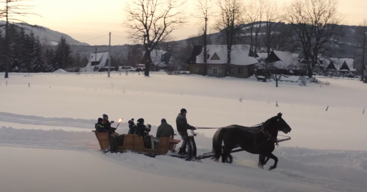 Schlittenfahrt, Schlittenfahrt in polen, Zakopane, Podlachien, Karpacz, Kaszubei, polen, tourismus