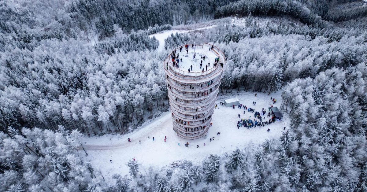 Aussichtsturm, Großer Wildberg, Aussichtsturm auf dem Großen Wildberg, Waldenberg, Waldenburger Gebirge, tourismus, polen, Touristenattraktion, Touristenattraktionen im Waldenburger Gebirge, Gottesberg-Rothenbach,