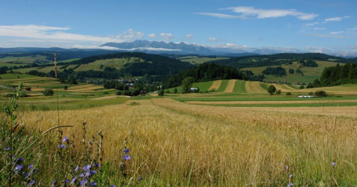 die schönsten Nationalparks in Polen, Nationalparks in Polen, Die besten Nationalparks in Polen, Nationalpark Pieninen, Nationalpark Heuscheuergebirge, Bieszczady-Nationalpark, Nationalpark Babia Góra, Nationalpark Ojców, Nationalpark Riesengebirge, Slowinzischer Nationalpark, Nationalpark Großpolen, Nationalpark Tatra, Nationalpark Wollin, Nationalparks Polen, polnischen Nationalparks,