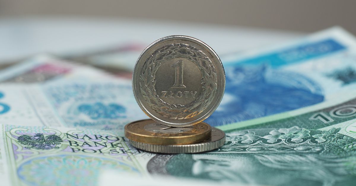 geld, polnischer zloty, pln, zloty, lohn, verdienst, mindestlohn