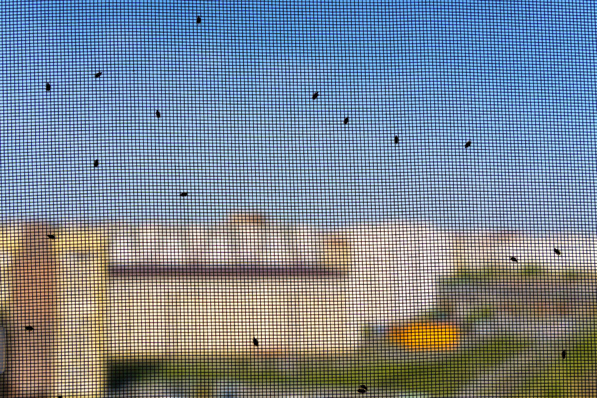 insektenschutz, dachfenster, netz