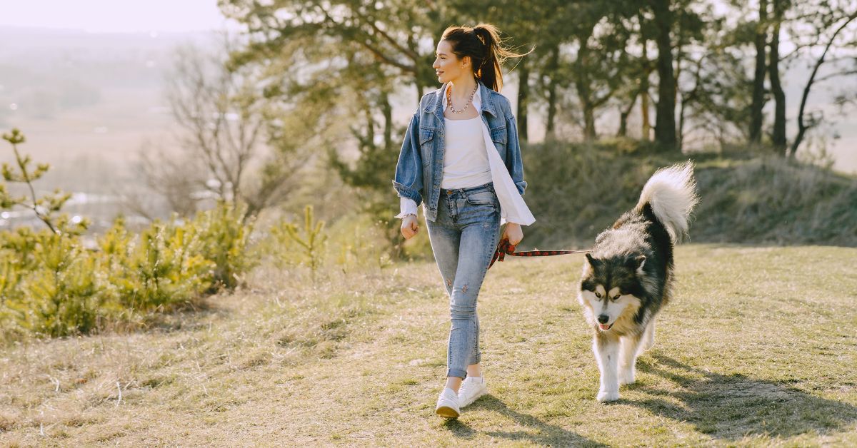 Hunde, Nationalparks, Hunde im Nationalpark, polen, Hunde in polnischen Nationalparks, Gassigehen, Gassigehen in Nationalparks, Gassigehen in Nationalparks Polen,