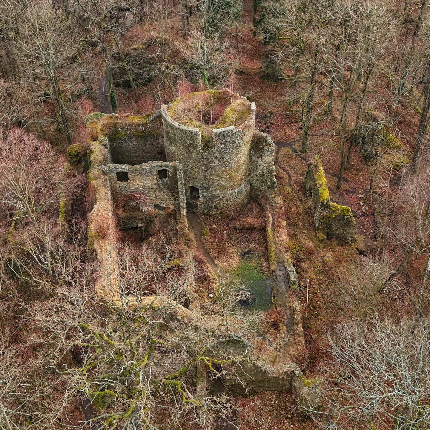 zamek cisy, niederschlesien, Zeisburg 