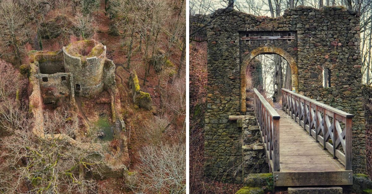 zeisburg, zamek cisy, ruiny zamku, las, wejście