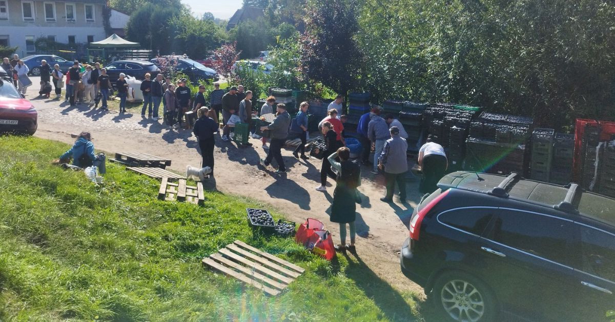 Polen, Pflaumendorf, Węgrzynów, Pflaumen, Dorf, Breslau, Wrocław,