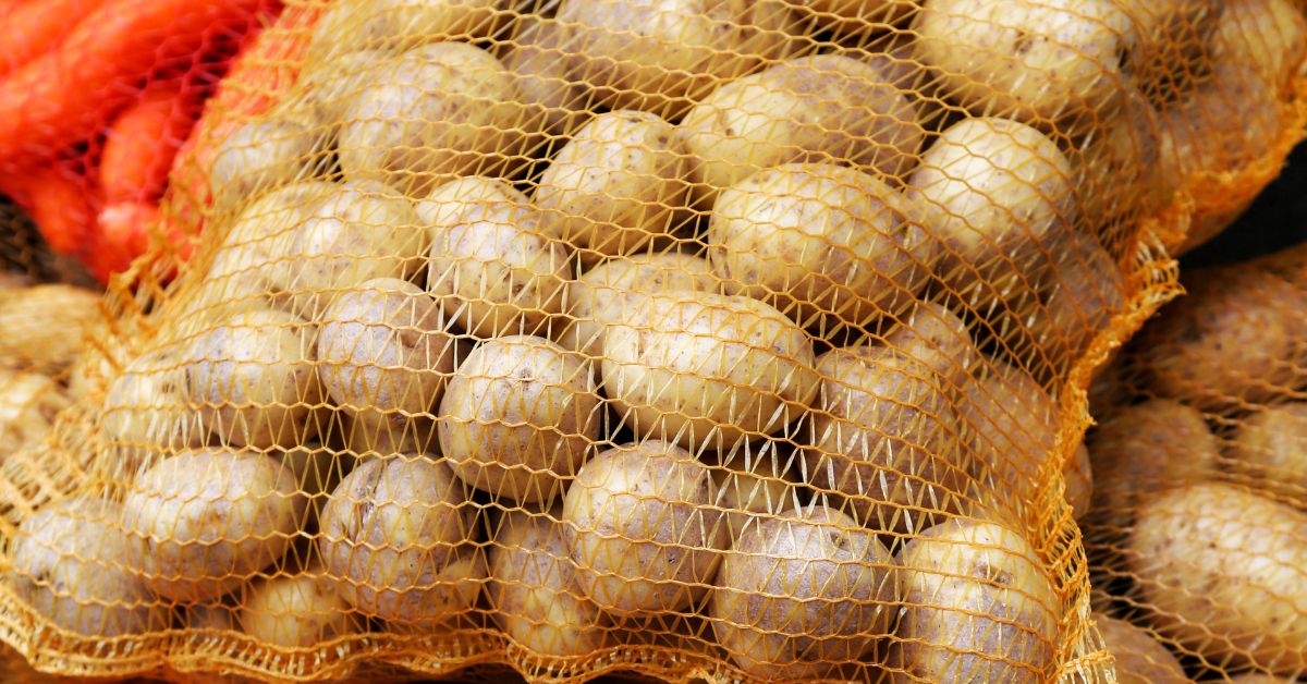 kartoffel, kartoffelexport, kartoffelernte