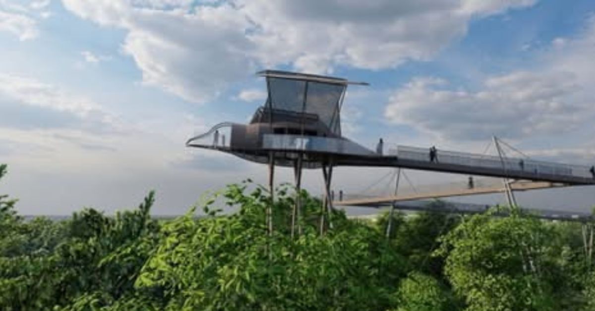 große möwe, baumwipfelpfad, kolberg, projekt