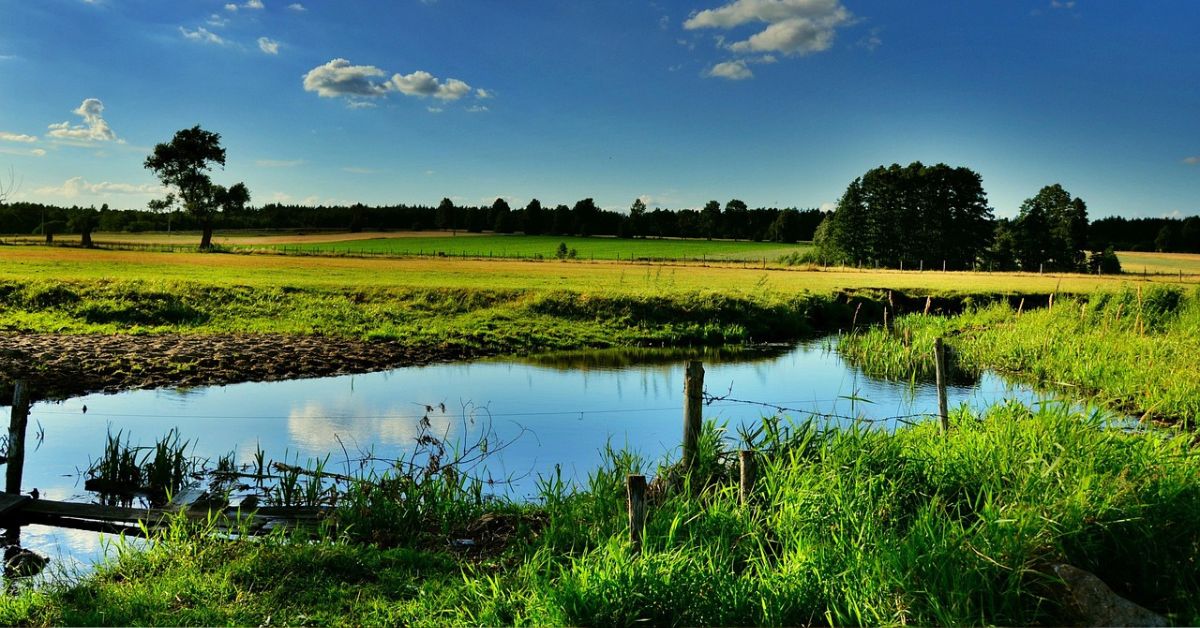 Podlachien Tourismus, Übernachtungszuschüsse Podlachien, Reiseförderung Polen, Urlaub in Podlachien, Polen Reisen 2026, Tourismusförderung Nordostpolen, Podlachien Sehenswürdigkeiten, Reiseförderung Polen, Podlachien Urlaubstipps, Finanzielle Unterstützung Touristen. Polen, Podlachien, Zuschüsse,