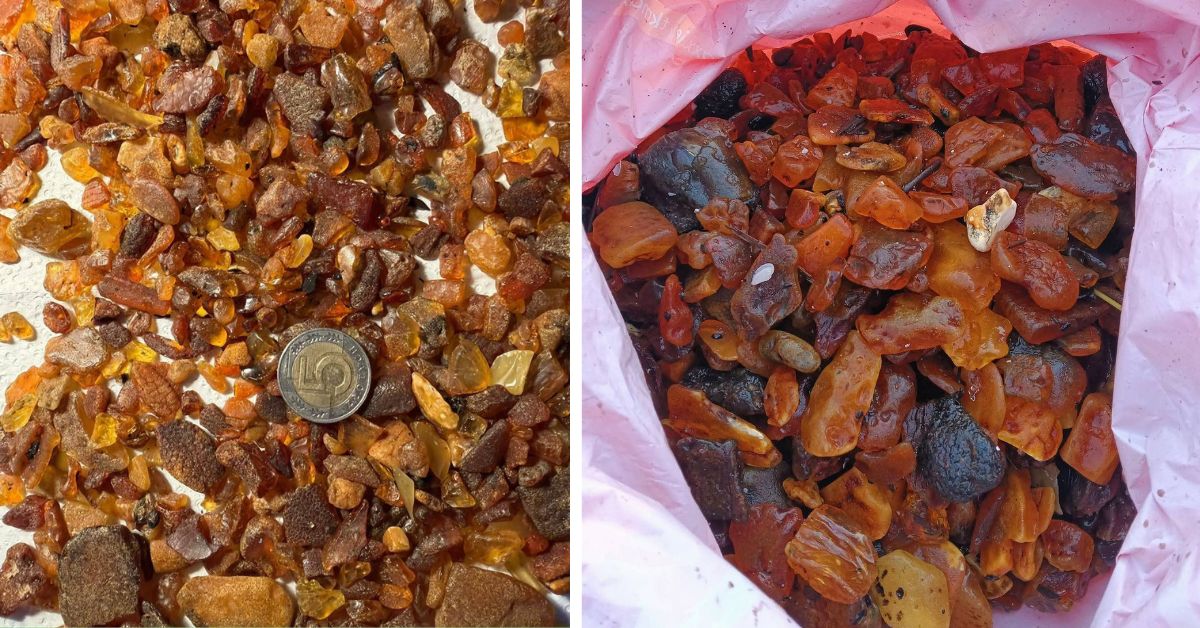 Bernstein Polen, Ostsee Bernstein, Bernsteinsuche Ostsee, Goldene Ernte Ostsee, Bernstein, Bernstein finden Polen, Sturm Ostsee Bernstein, Polen, Ostsee, Polnische Ostseeküste,