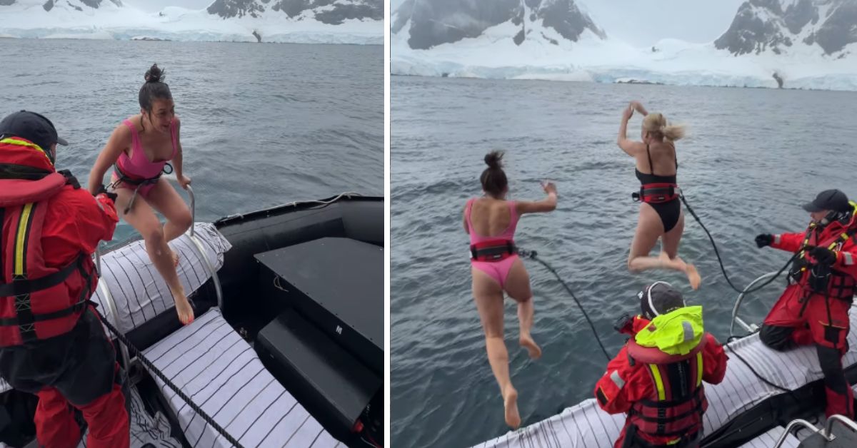 Antarktis joanna jędrzejczyk