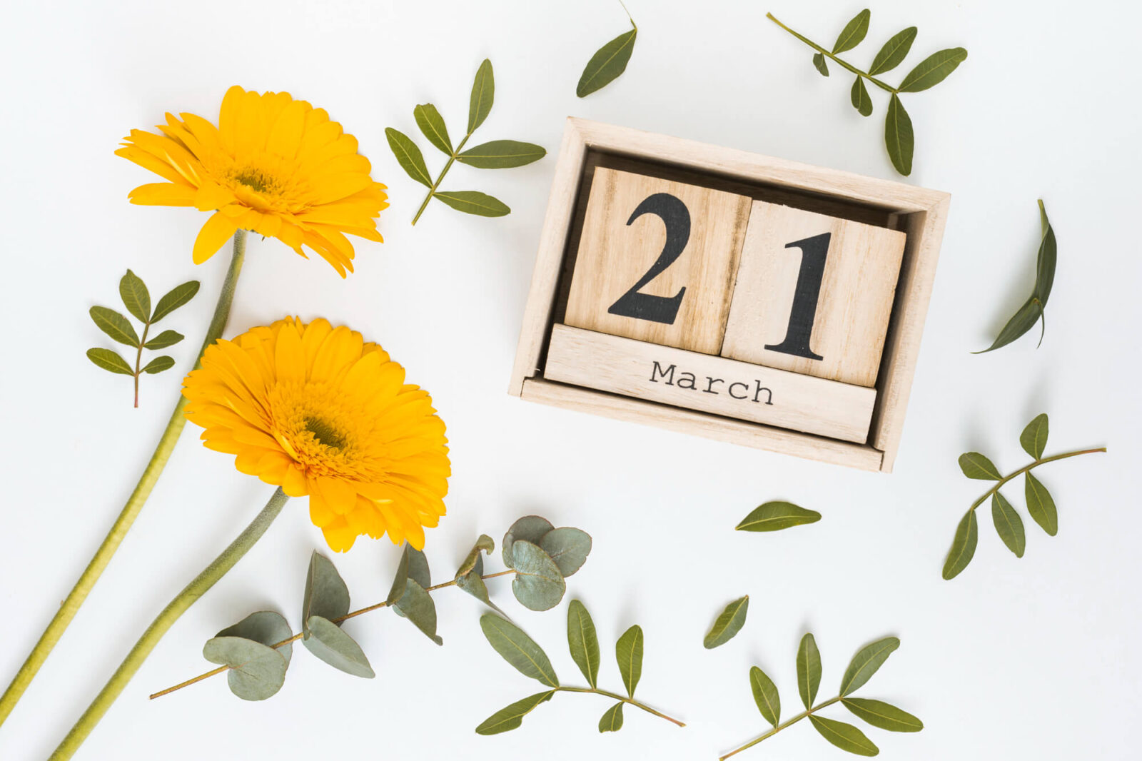 Dzień Wagarowicza, Dzień Wagarowicza Polen, Schwänzertag Polen, Schwänzertag, Tag des Schwänzers, 21. März, erster Frühlingstag Polen, Frühlingsanfang Polen, Schulschwänzen Polen, Wagary Polen, polnische Schultraditionen, Schülertradition Polen, Schulkultur Polen, Schülerbräuche Polen, Frühlingstradition Polen,