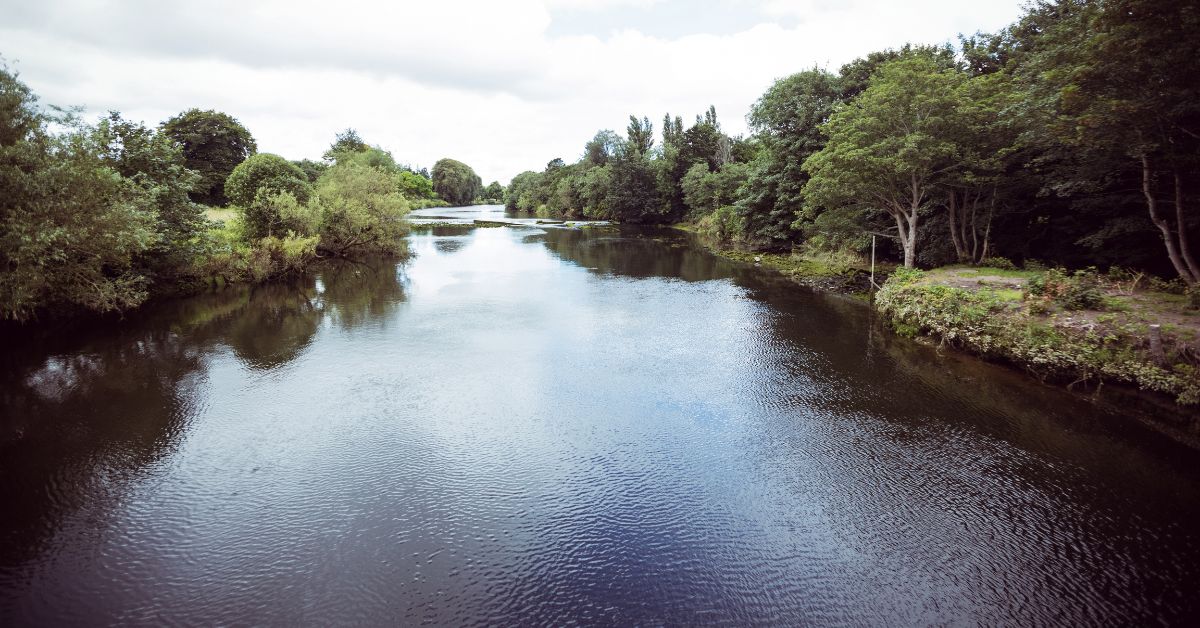 Oder Verschmutzung, Salzbelastung Oder Polen, Bergwerke Schlesien Umwelt, Grubenwasser Entsalzung, Goldalge Oder, Oder, Polen, Verschmutzung in der Oder, Salz in der Oder,