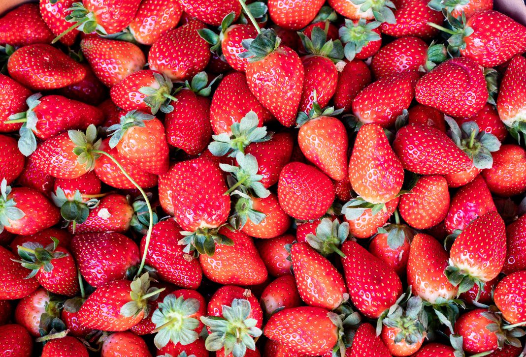 Erdbeeren
