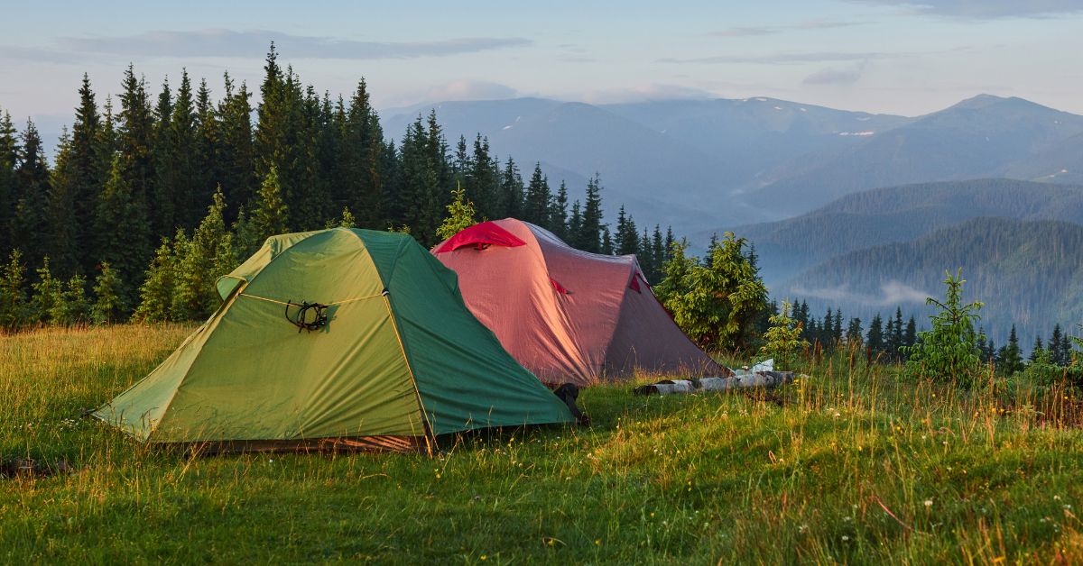 Camp 66, ACSI Awards 2026, bester Campingplatz Polen, Camping Karpacz, Camping an der Schneekoppe, Camping Riesengebirge, Caravaning Polen, Campingurlaub Polen, beste Campingplätze Europa, Camp 66 Ścięgny, Camping Karkonosze, Polen Camping Auszeichnung,