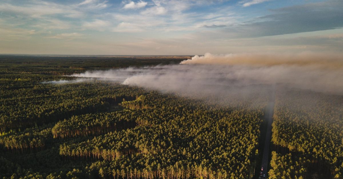 Waldbrand Polen, Biłgoraj Feuer heute, Dromader Absturz Polen, Pilot gestorben Polen, Großbrand Lublin aktuell, Brand, Polen, Biłgoraj, Waldbrand,