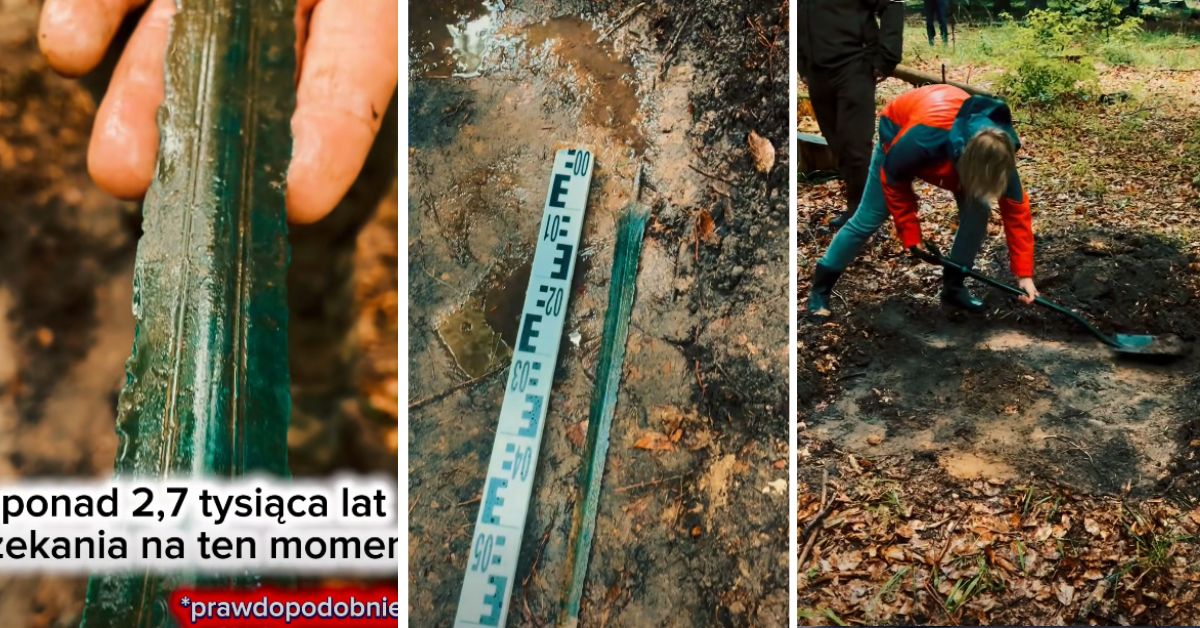 Schwertfund Polen, Gdańsk Danzig Schwert, archäologischer Fund Polen, 2700 Jahre altes Schwert, Fund im Wald Gdańsk, historische Artefakte Polen, Staatsforsten Polen, Schwert aus der Vorzeit, spektakulärer Fund Danzig, archäologische Entdeckung Polen, altes Schwert gefunden,