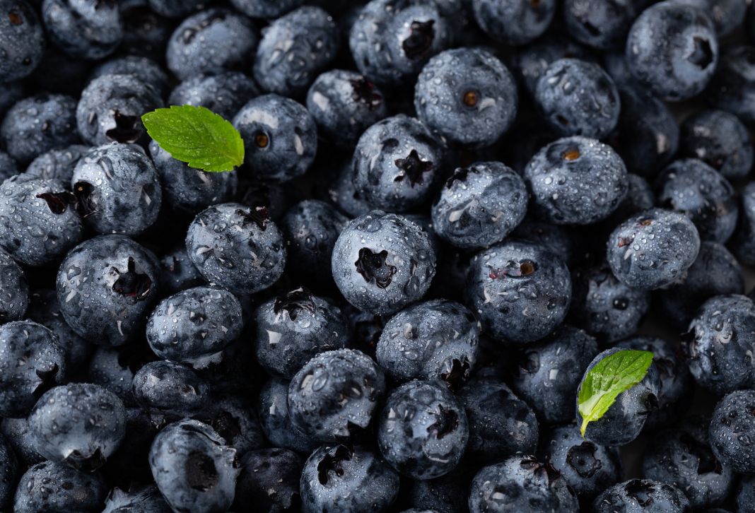 heidelbeeren