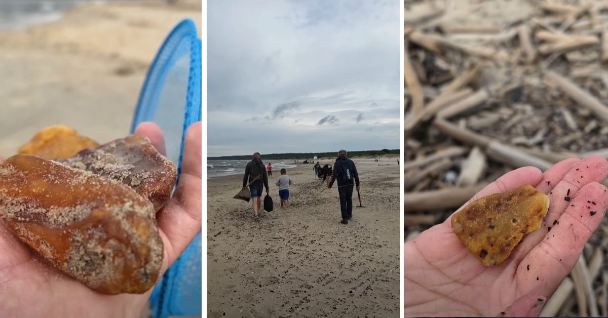 Bernstein Polen, Ostsee Polen, Bernsteinfund, Bernstein nach Sturm, baltisches Gold, Polnische Ostsee, Frische Nehrung, Danziger Bucht, Bernsteinsuche, Bernsteinjäger, Ostseeküste Polen,