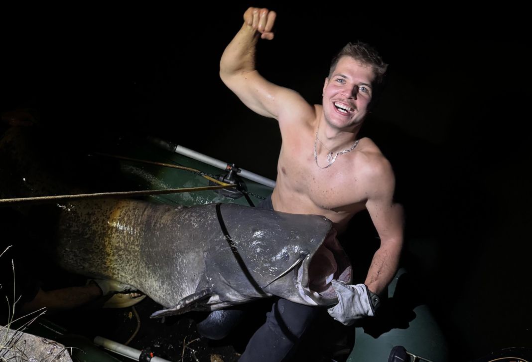 Riesiger Wels im Gleiwitzer Kanal: Angler fängt 2,60 Meter langen Fisch