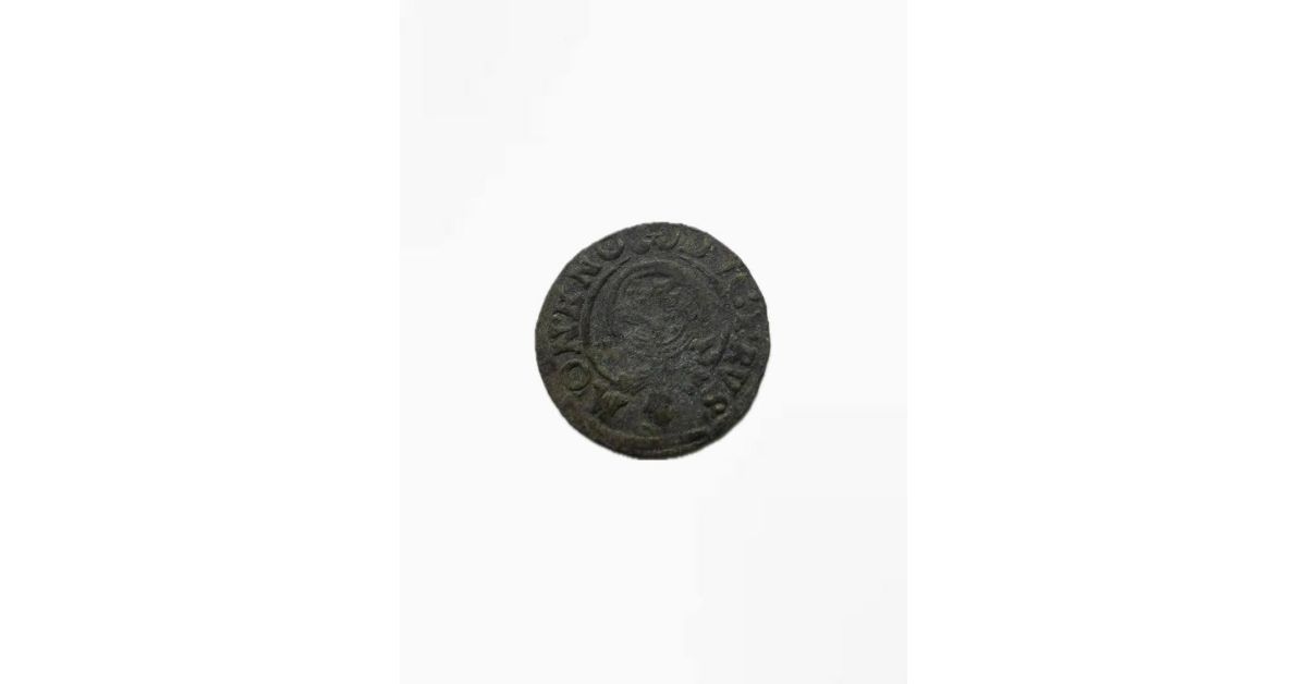 9-Jähriger findet Silbermünze, 400 Jahre alte Silbermünze, Silbermünze aus dem 17. Jahrhundert, historischer Münzfund, archäologischer Fund in Czersk, Münzfund in Czersk, Fund auf Burg Czersk, Burg Czersk Münze, Silbermünze Czersk, Halbtaler aus dem 17. Jahrhundert, silberner Halbtaler, preußischer Halbtaler, Münzfund Polen, archäologischer Fund Polen,