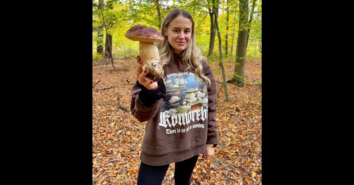 Pilzsaison Polen, Pilze sammeln in Polen, Pilzfund Polen, Kiefernsteinpilz, riesiger Steinpilz, Blondynka na grzybach, Pilze im Oktober, Pilzsuche im Herbst, Pilzsammler Polen, Pilzfunde in sozialen Medien, KI-generierte Bilder, künstliche Intelligenz,