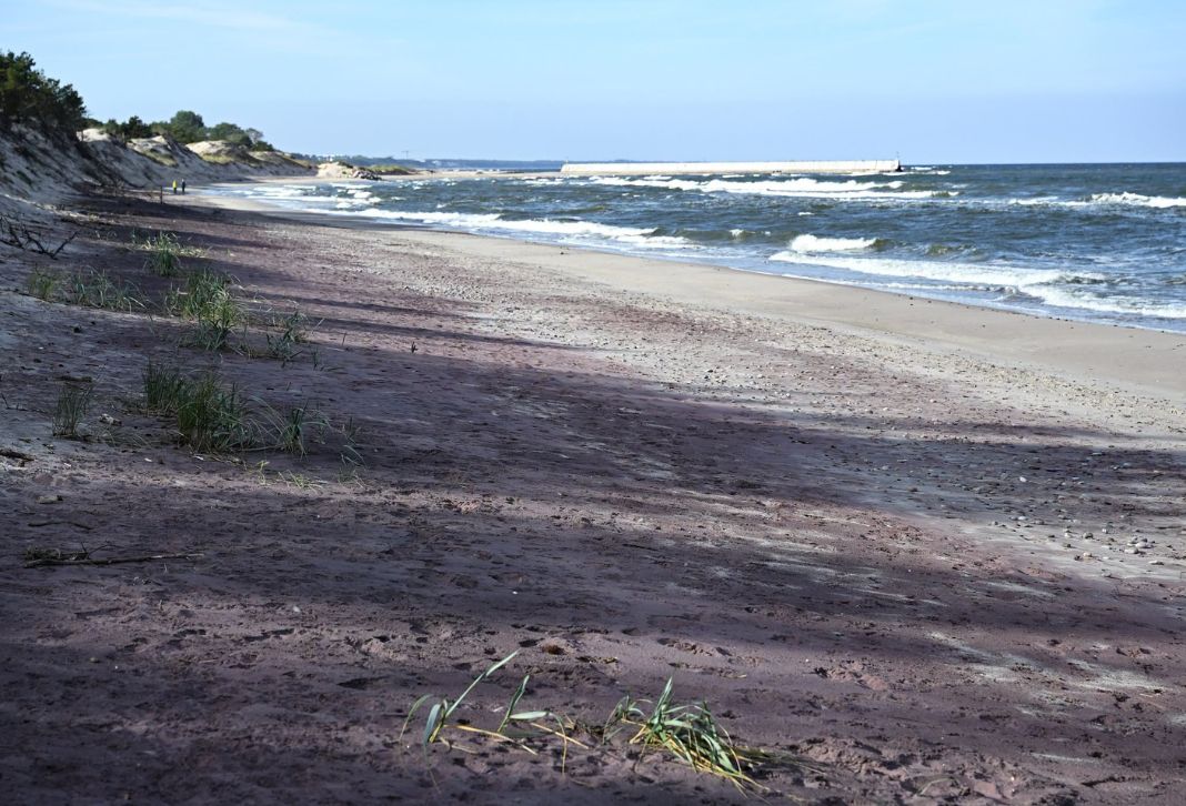 Violetter Sand an der Ostsee: Ungewöhnliches Naturphänomen sorgt für Aufsehen